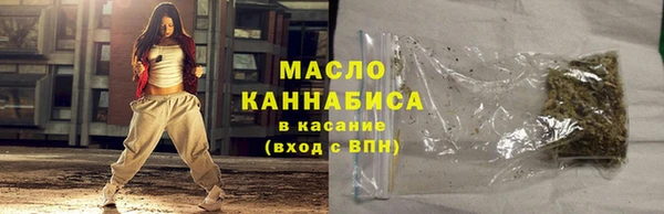 прущий лед Богданович