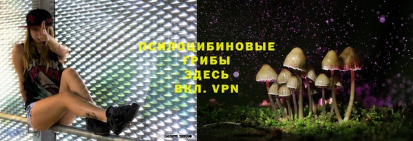 ГАЛЛЮЦИНОГЕННЫЕ ГРИБЫ Богородицк