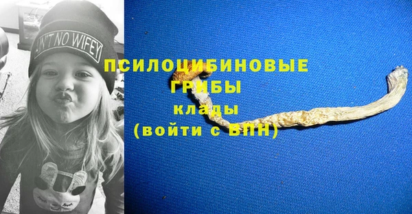 ГАЛЛЮЦИНОГЕННЫЕ ГРИБЫ Богородицк