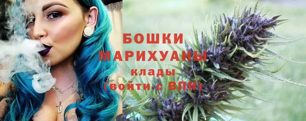 прущий лед Богданович