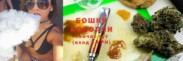 прущий лед Богданович