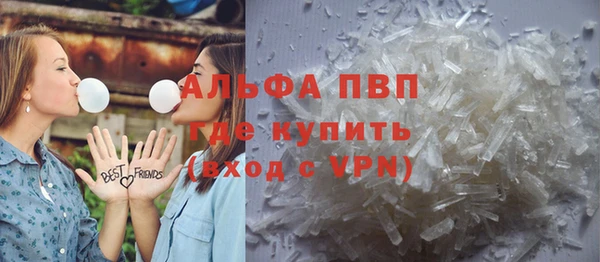 прущий лед Богданович