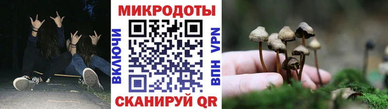 Галлюциногенные грибы прущие грибы  Котельниково 
